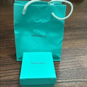 Tiffany & Co. Robin's Egg Blue Gift Bag and Box Set
